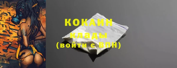 спиды Ладушкин