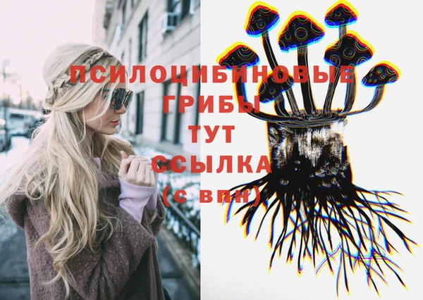 Альфа ПВП Котовск