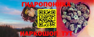 тгк Гатчина