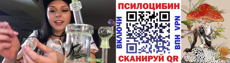 сколько стоит  Нарткала  Псилоцибиновые грибы Psilocybe 