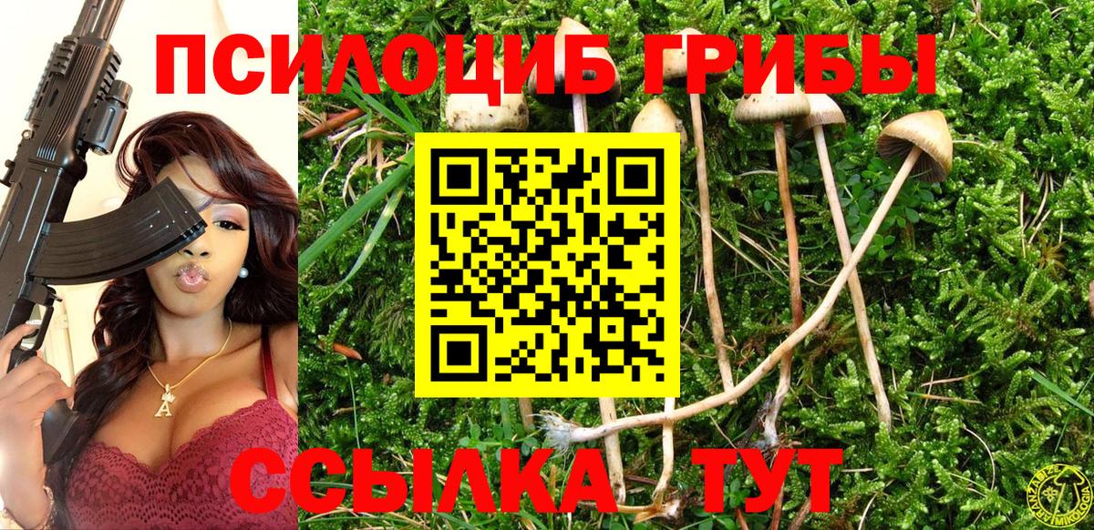 Галлюциногенные грибы ЛСД Нарткала