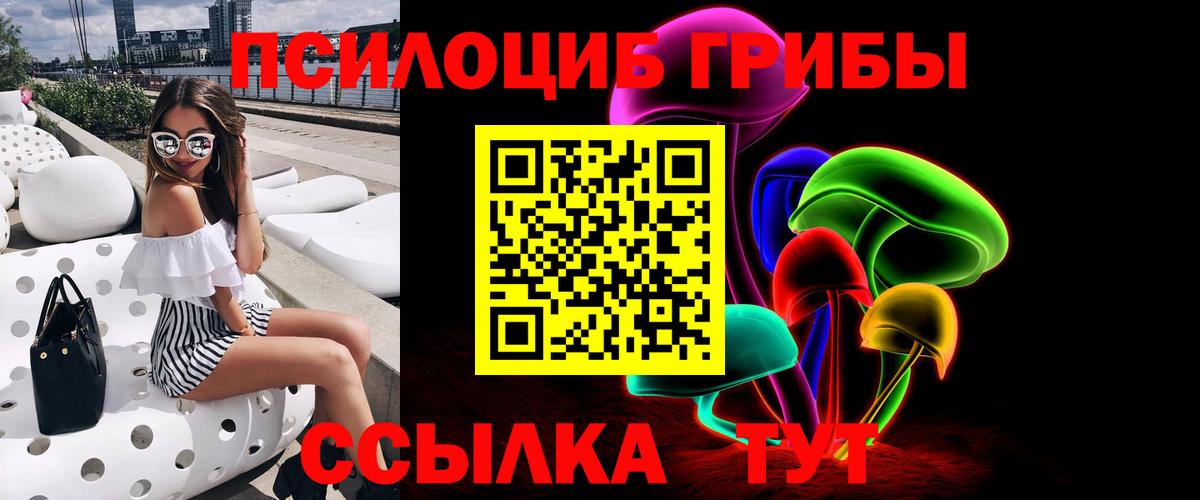 Галлюциногенные грибы Psilocybe  Вход с VPN  Нарткала  закладки  Галлюциногенные грибы Magic Shrooms 